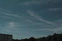 Numerose scie persistenti